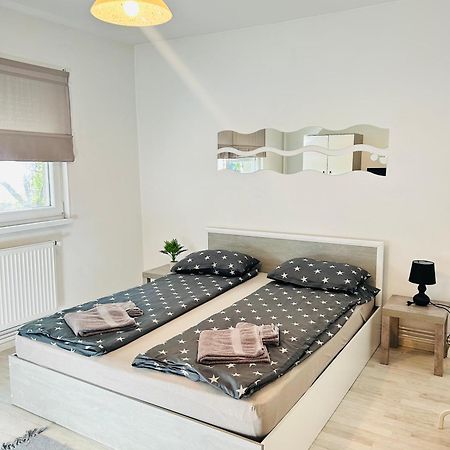 Alisz Apartments 蒂米什瓦拉 外观 照片