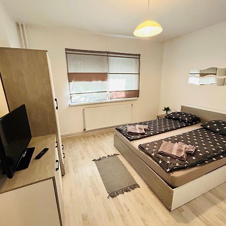 Alisz Apartments 蒂米什瓦拉 外观 照片