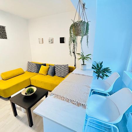 Alisz Apartments 蒂米什瓦拉 外观 照片