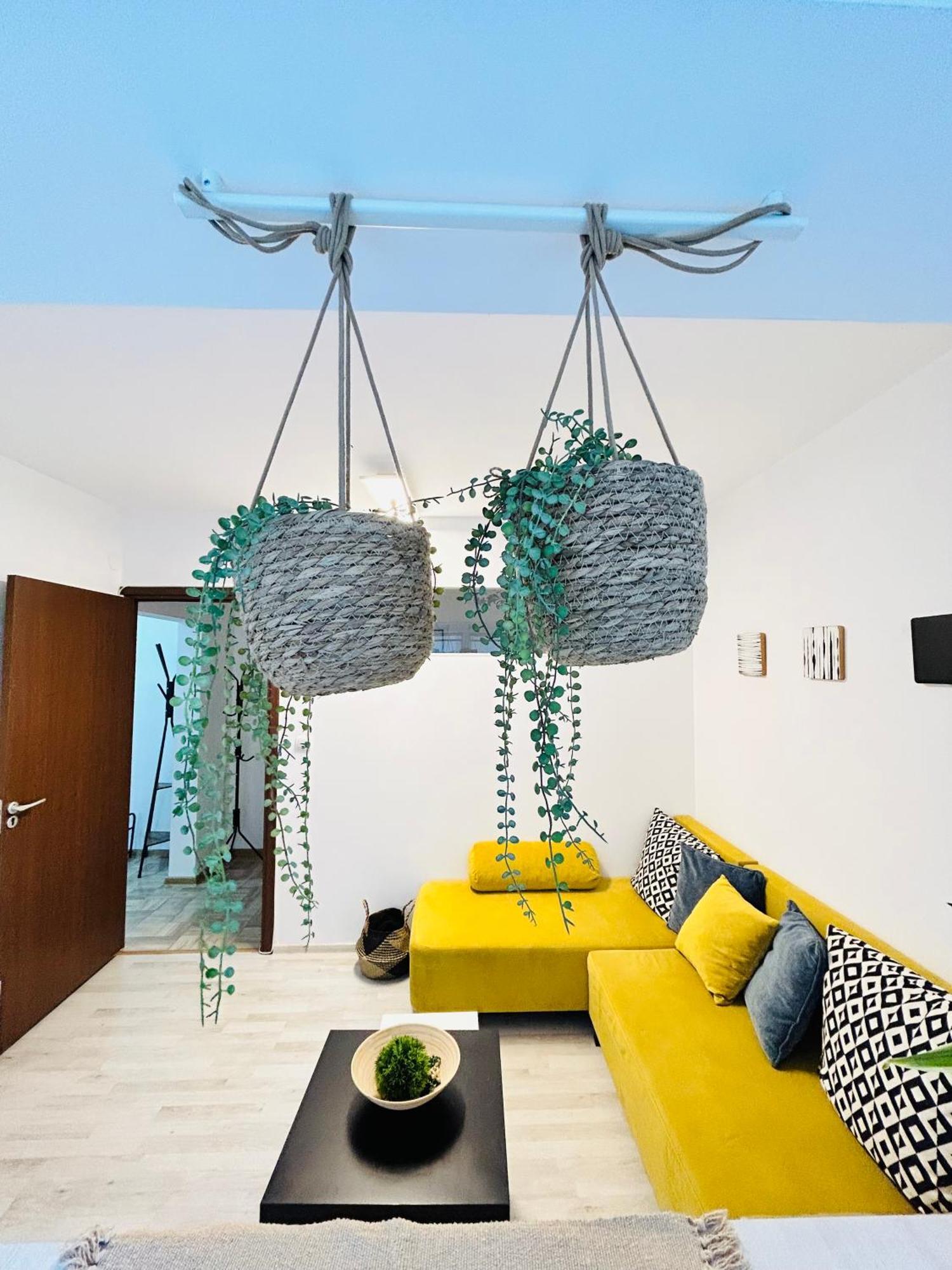 Alisz Apartments 蒂米什瓦拉 外观 照片