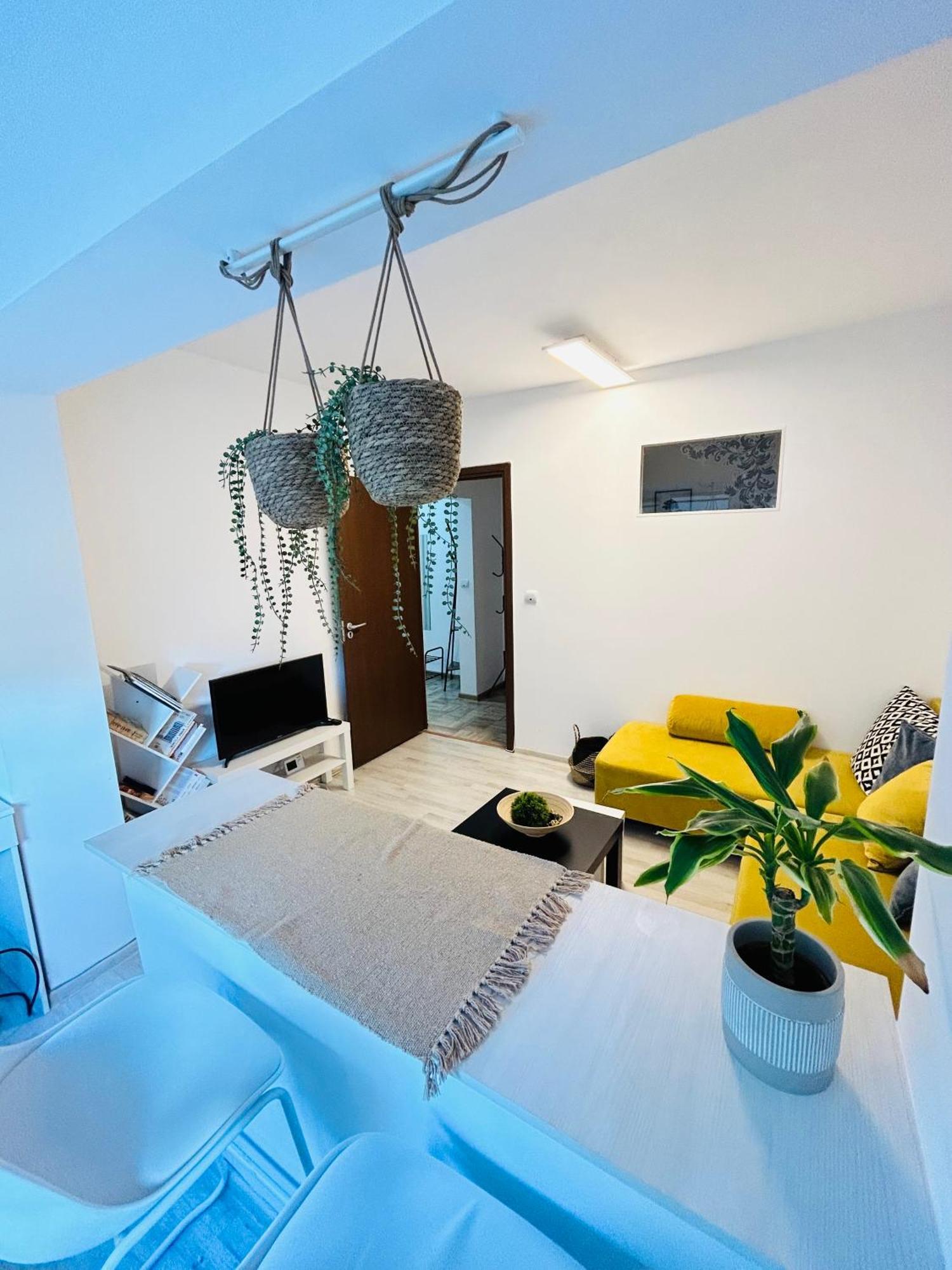 Alisz Apartments 蒂米什瓦拉 外观 照片