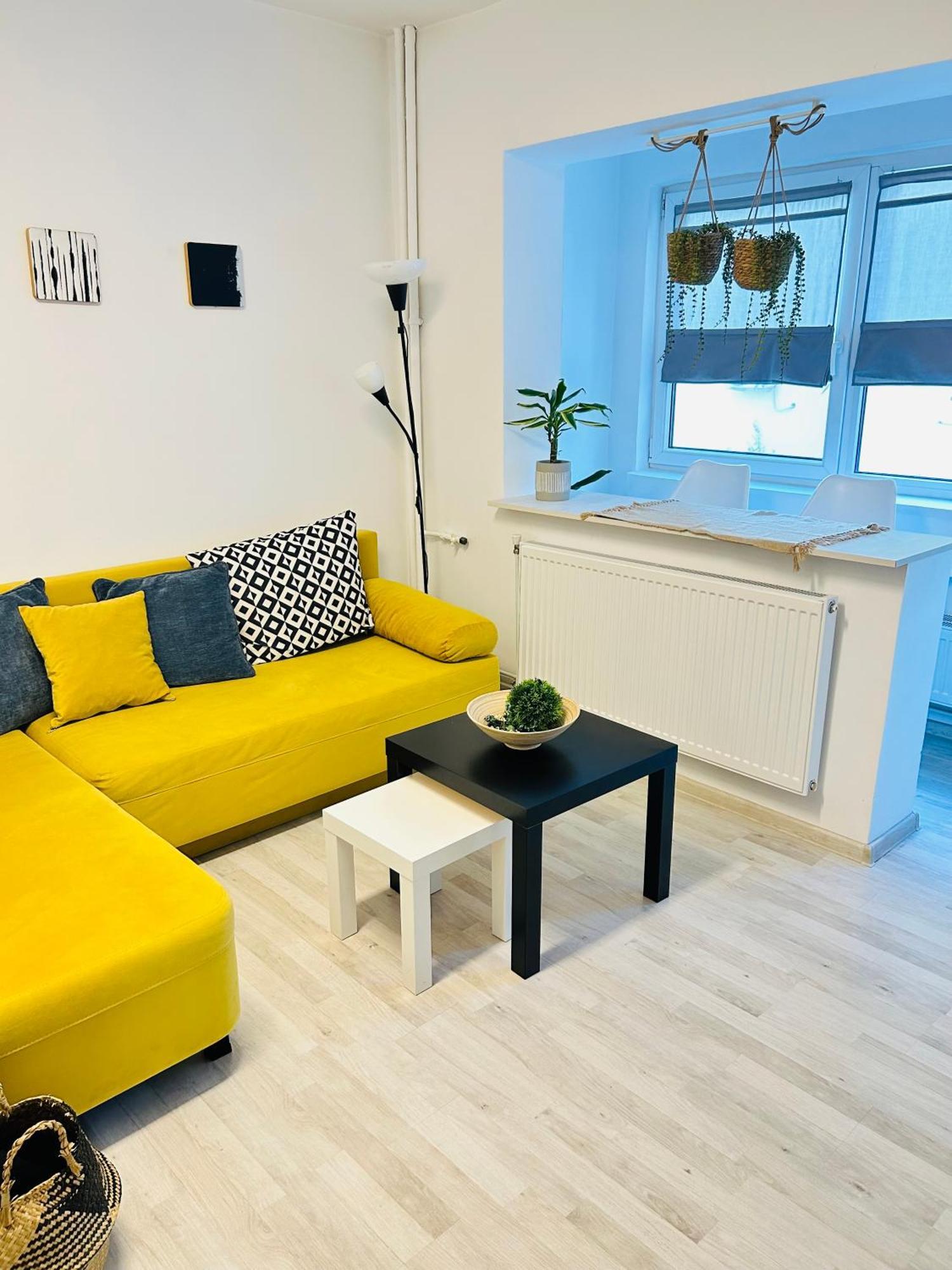Alisz Apartments 蒂米什瓦拉 外观 照片