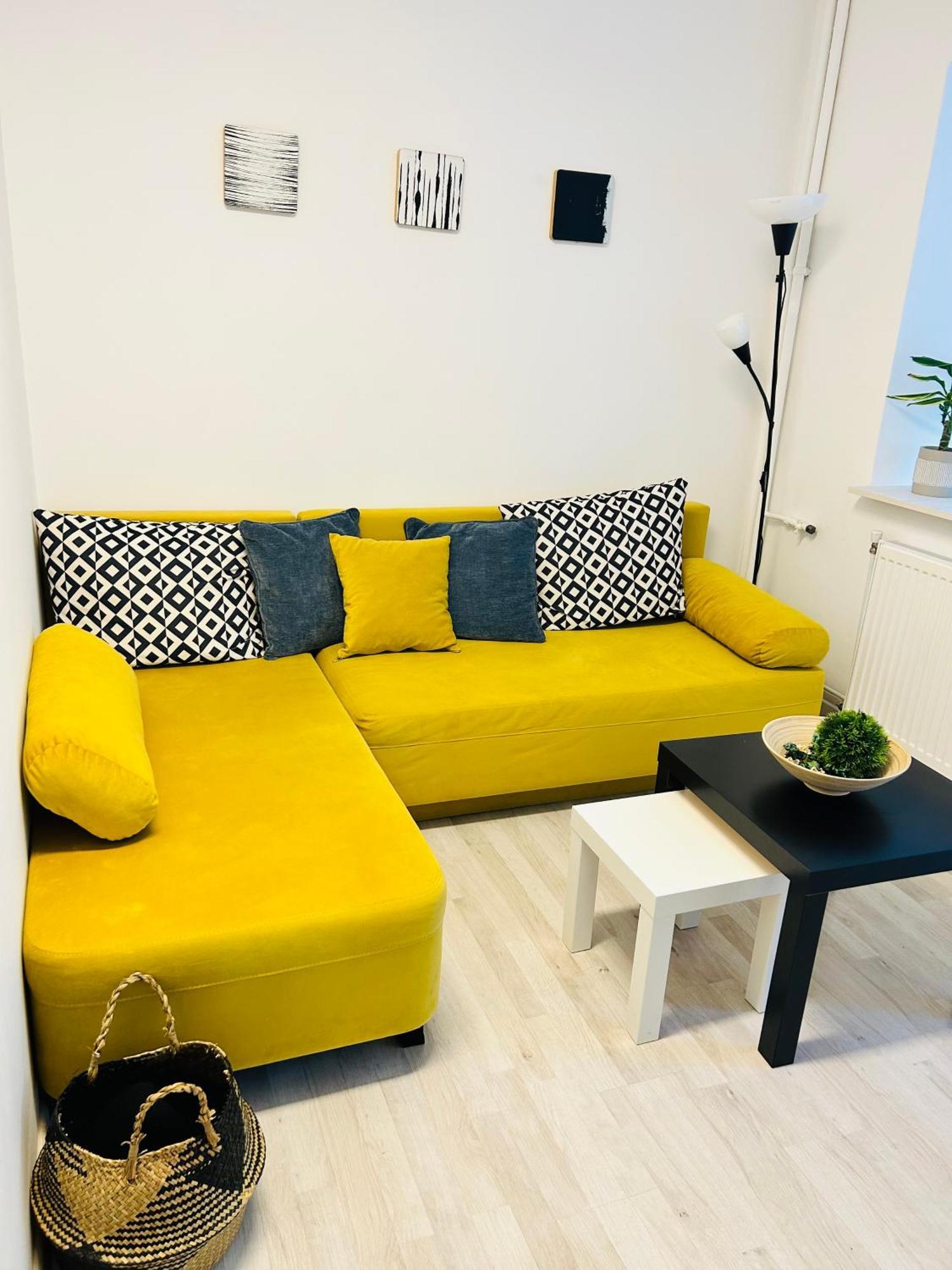 Alisz Apartments 蒂米什瓦拉 外观 照片