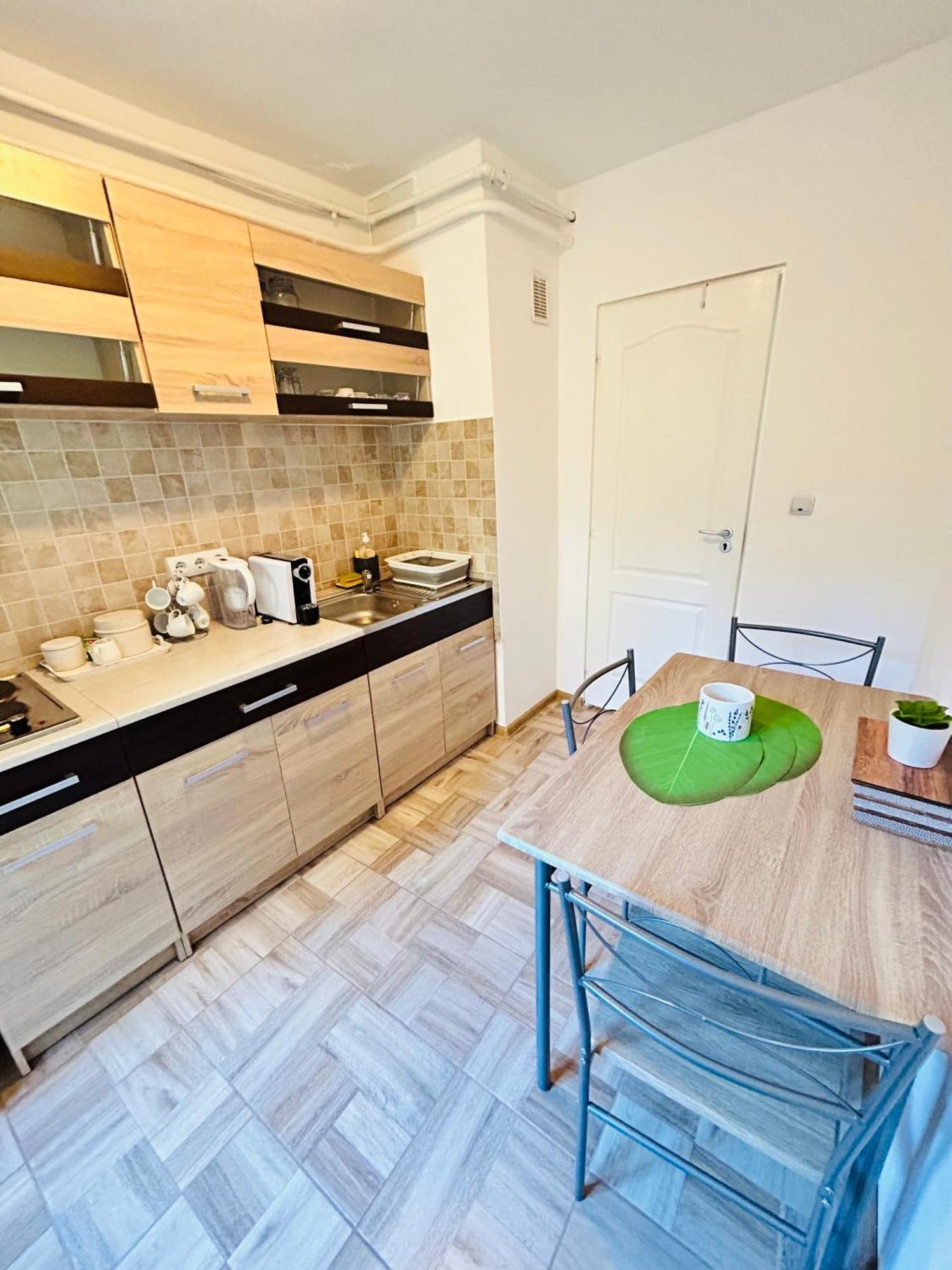 Alisz Apartments 蒂米什瓦拉 外观 照片