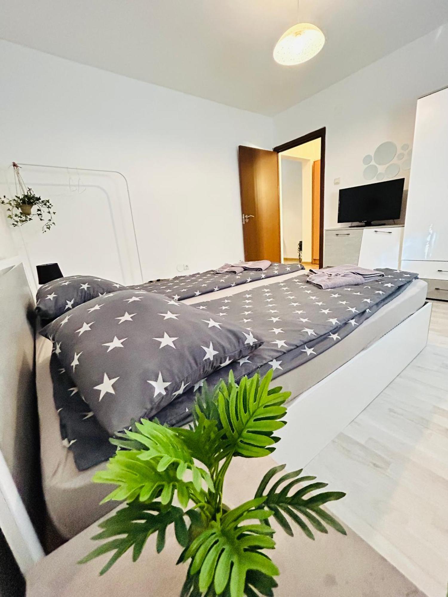 Alisz Apartments 蒂米什瓦拉 外观 照片