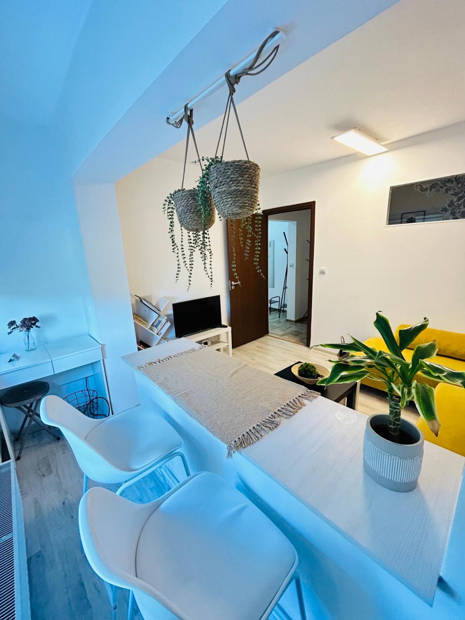 Alisz Apartments 蒂米什瓦拉 外观 照片