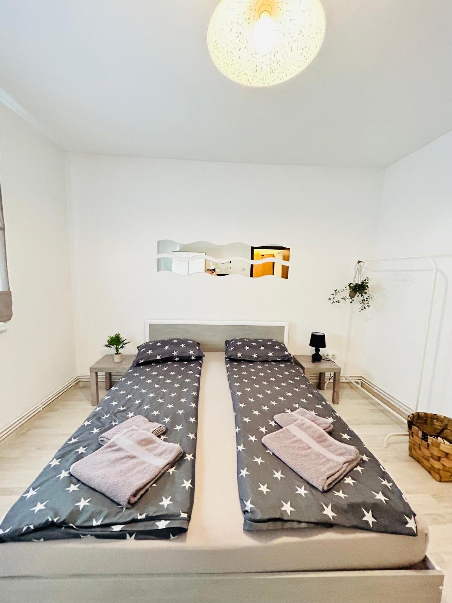 Alisz Apartments 蒂米什瓦拉 外观 照片